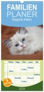 Cover-Bild zum Titel 'Familienplaner 2026 - Ragdoll Kitten mit 5 Spalten (Wandkalender, 21 x 45 cm) CALVENDO' von 'Fotodesign Verena Scholze'