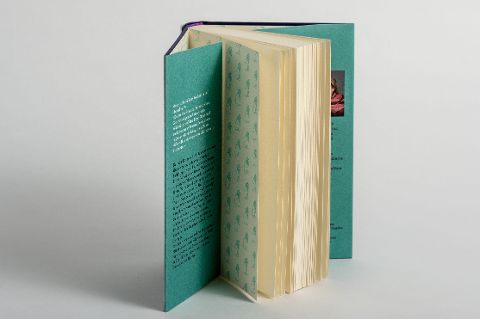 InsideView 4