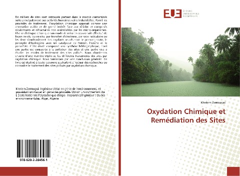 Oxydation Chimique et Remédiation des Sites - Meriem Zerrougui