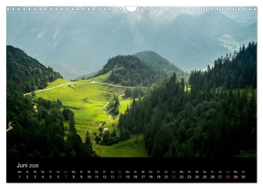 InsideView 11