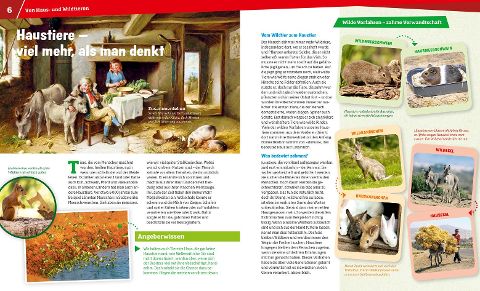 InsideView 3