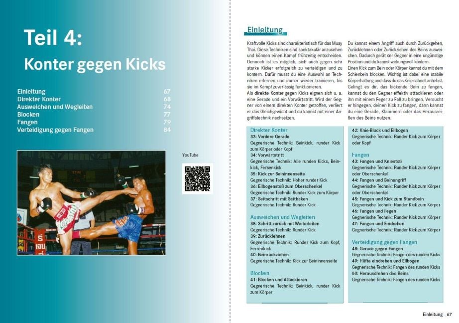 InsideView 6