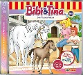 Cover-Bild zum Titel 'Folge 100:Das Waisenfohlen' von 'Bibi & Tina'