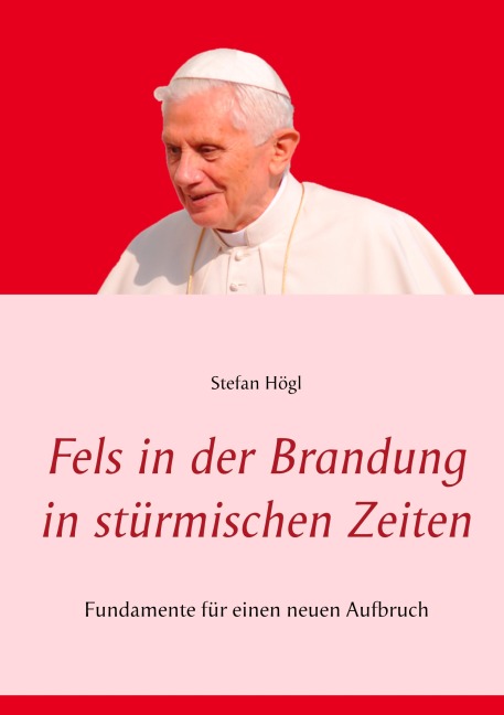 Fels in der Brandung in stürmischen Zeiten - Stefan Högl