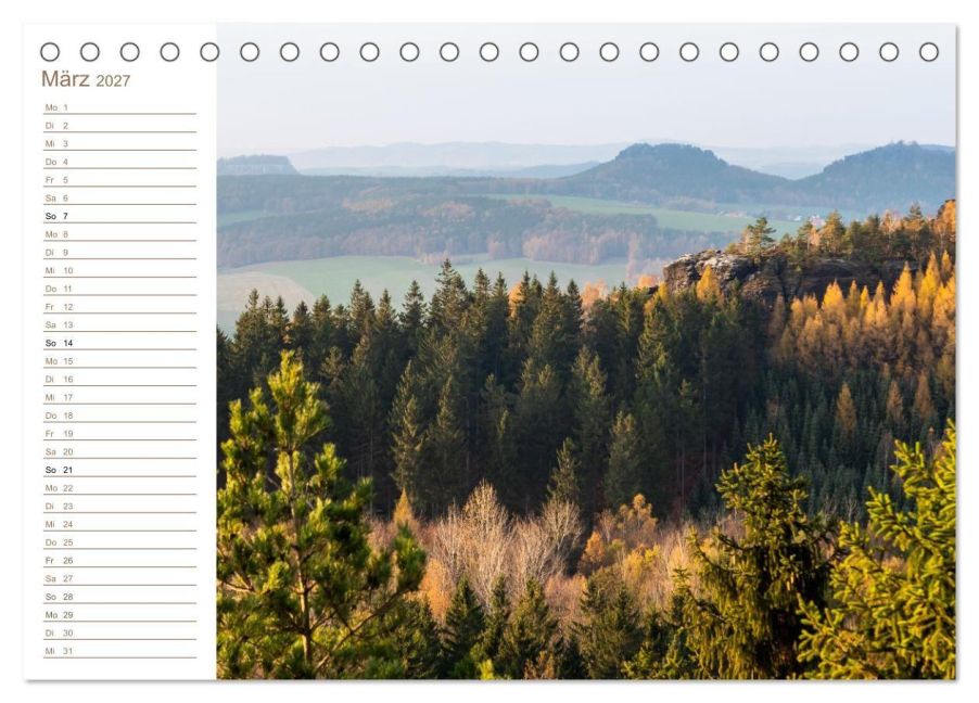 InsideView 8