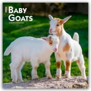 Baby Goats - Ziegenbabys 2026 - 16-Monatskalender - Browntrout Publishers