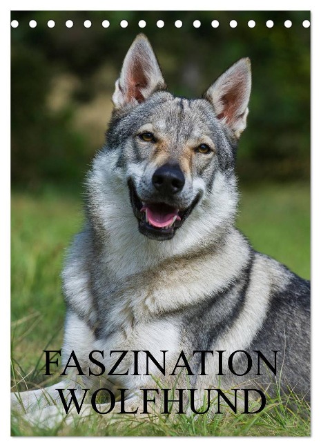 Faszination Wolfhund (Tischkalender 2024 DIN A5 hoch), CALVENDO Monatskalender - Sigrid Starick