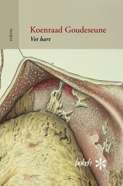 Vet hart - Koenraad Goudeseune
