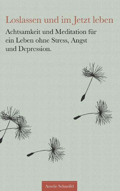 Loslassen und im Jetzt leben - Amelie Schneifel