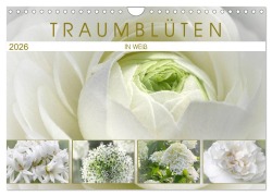 Cover-Bild zum Titel 'Traumblüten in Weiß (Wandkalender 2026 DIN A4 quer), CALVENDO Monatskalender' von 'Martina Cross'