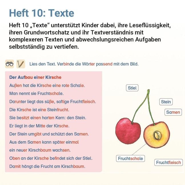 InsideView 3