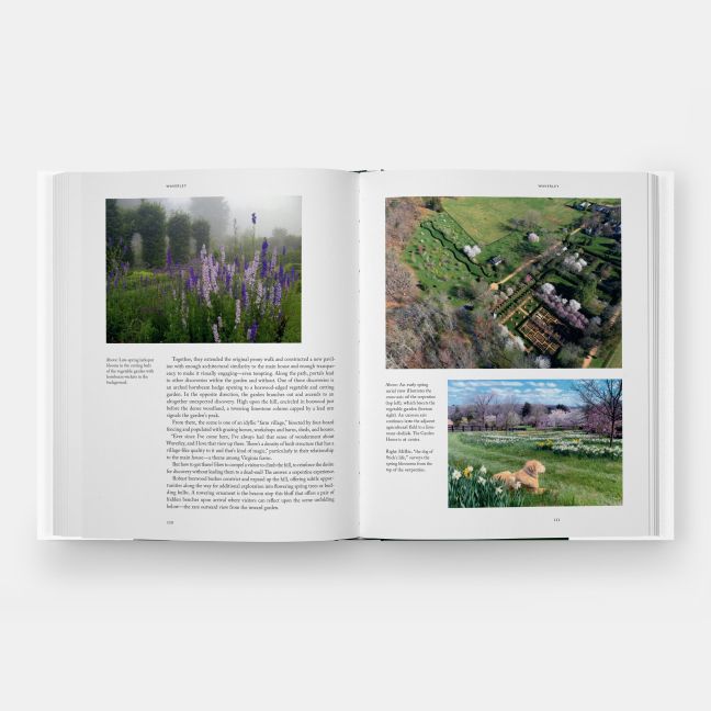 InsideView 5