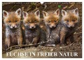 Füchse in freier Natur (Wandkalender 2025 DIN A3 quer), CALVENDO Monatskalender - Ulrich Hopp
