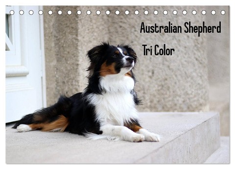 Australian Shepherd Tri Color (Tischkalender 2025 DIN A5 quer), CALVENDO Monatskalender - Youlia Youlia