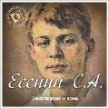 Cover-Bild zum Titel 'Stihi i poemy Esenina' von 'Sergey Esenin'