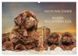 Neufundländer - Kleine Weltentdecker (Wandkalender 2025 DIN A2 quer), CALVENDO Monatskalender - Sigrid Starick