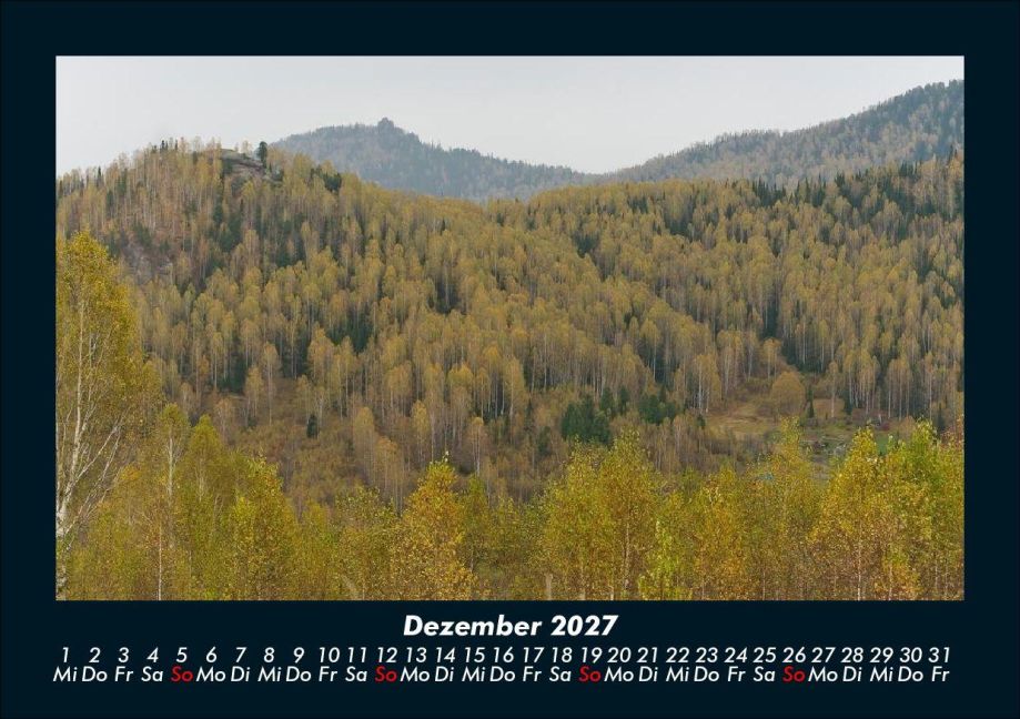 InsideView 4