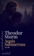 Cover-Bild zum Titel 'Aquis Submersus' von 'Theodor Storm'