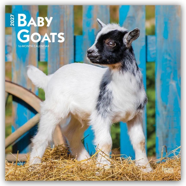 Baby Goats - Ziegenbabys 2027 - 16-Monatskalender - Browntrout Publishers