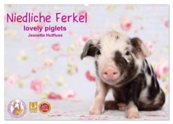 Niedliche Ferkel lovely piglets 2026 (Wandkalender 2026 DIN A2 quer), CALVENDO Monatskalender - Jeanette Hutfluss