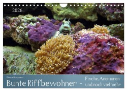 Cover-Bild zum Titel 'Bunte Riffbewohner - Fische, Anemonen und noch viel mehr (Wandkalender 2026 DIN A4 quer), CALVENDO Monatskalender' von 'Bianca Schumann'
