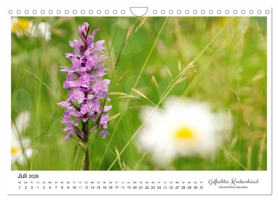 InsideView 12