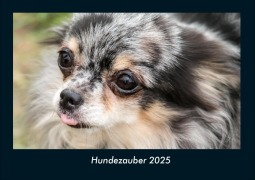 Cover-Bild zum Titel 'Hundezauber 2025 Fotokalender DIN A4' von 'Tobias Becker'