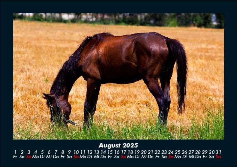 InsideView 12