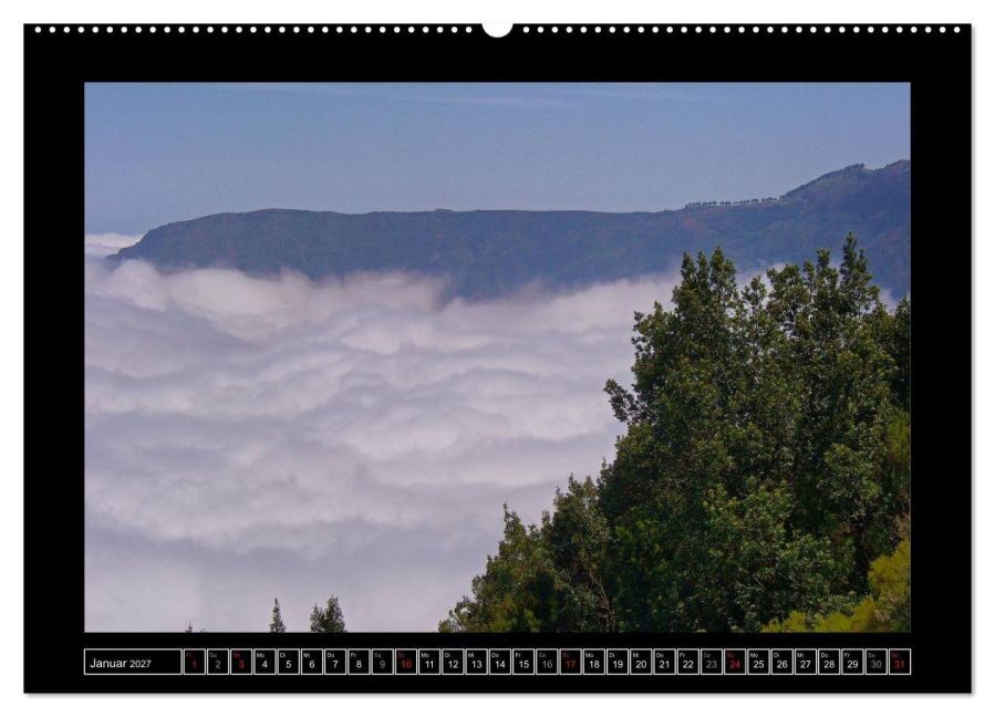 InsideView 5
