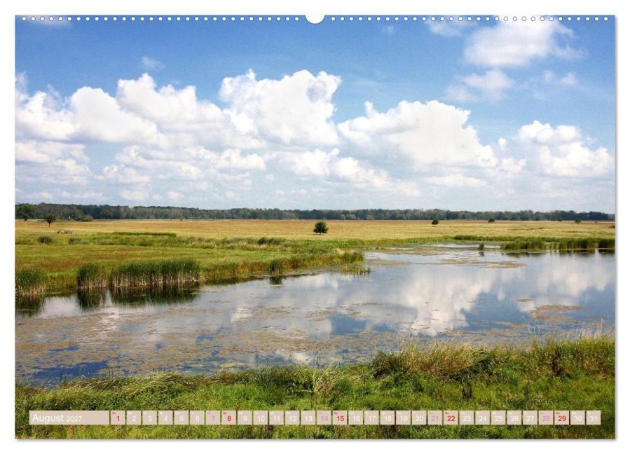 InsideView 12