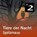 Cover-Bild zum Titel 'Tiere der Nacht: Spitzmaus' von 'Silke Wolfrum'