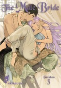 Cover-Bild zum Titel 'The Male Bride 3' von 'Tamekou'