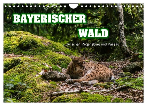 Bayerischer Wald (Wandkalender 2024 DIN A4 quer), CALVENDO Monatskalender - Ralf-Udo Thiele