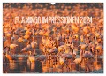 Flamingo Impressionen 2024 (Wandkalender 2024 DIN A3 quer), CALVENDO Monatskalender - Ingo Gerlach