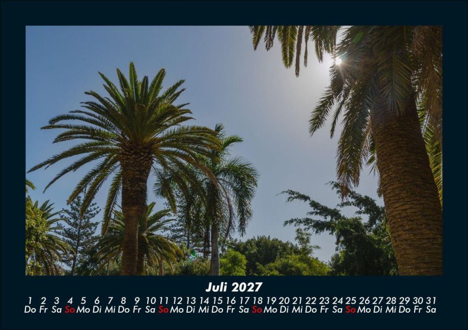 InsideView 11