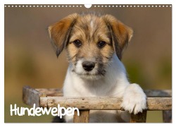 Cover-Bild zum Titel 'Hundewelpen (Wandkalender 2026 DIN A3 quer), CALVENDO Monatskalender' von 'Anna Auerbach'