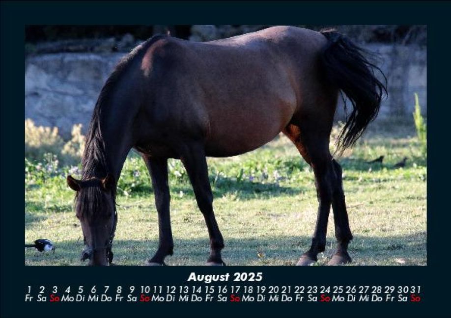 InsideView 12