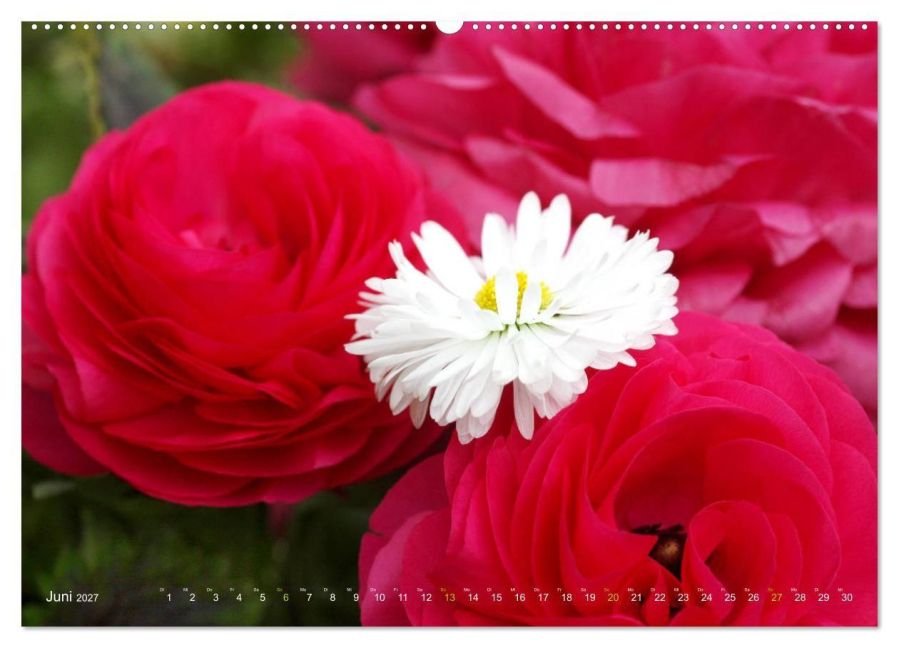 InsideView 11