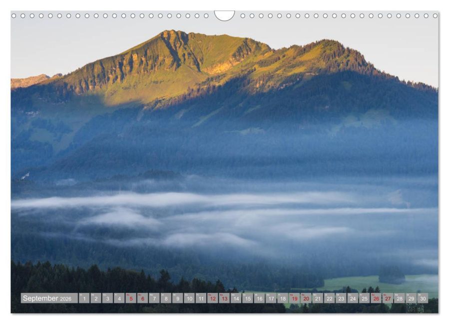 InsideView 14