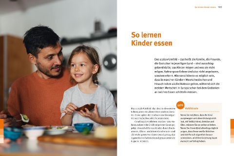 InsideView 6