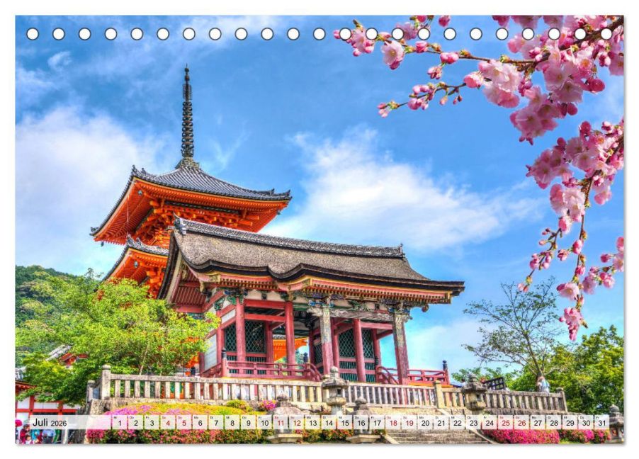 InsideView 12