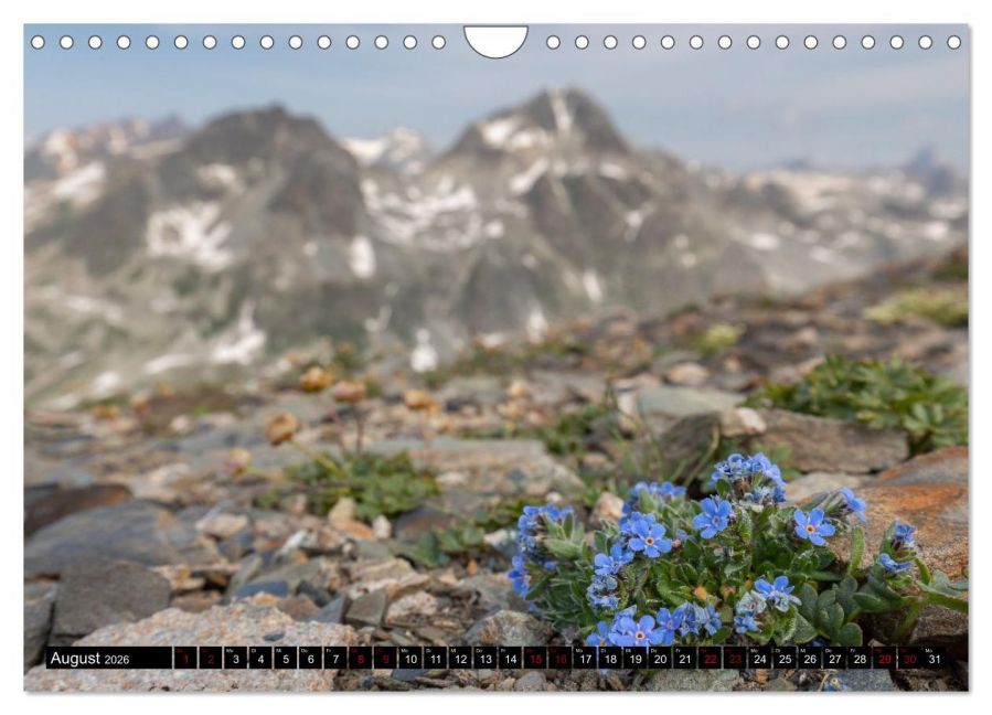 InsideView 13