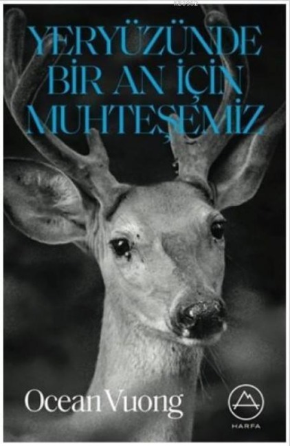 Yeryüzünde Bir An Icin Muhtesemiz - Ocean Vuong