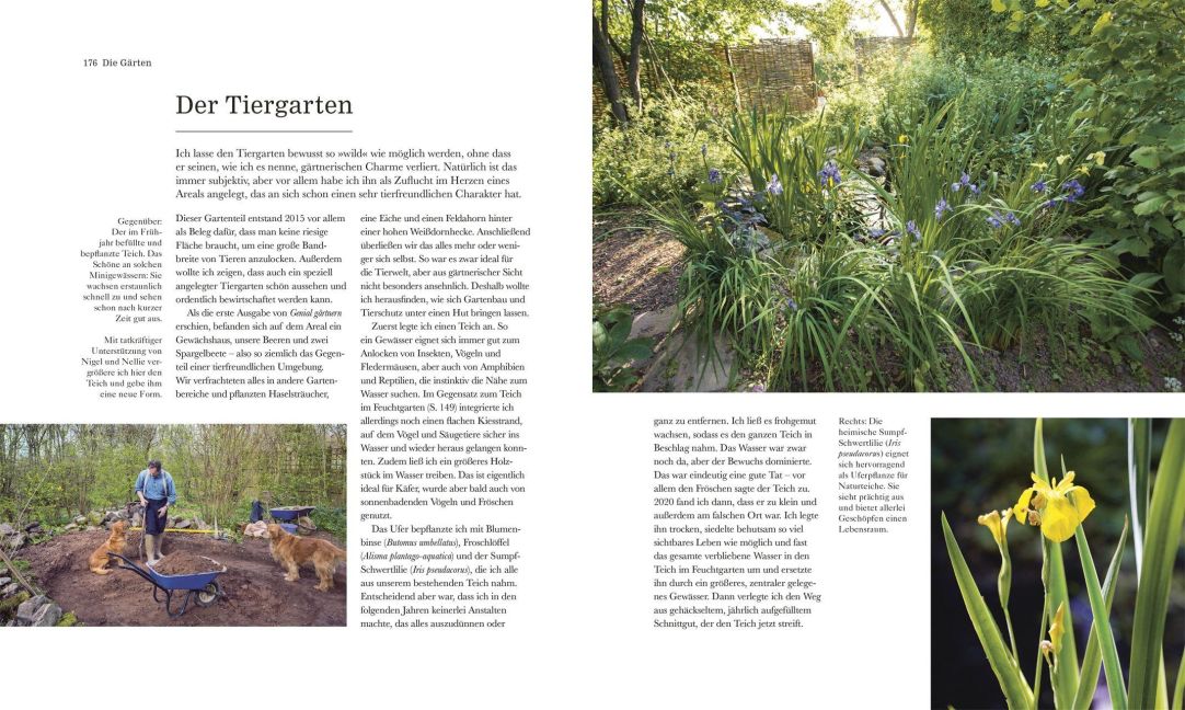 InsideView 5