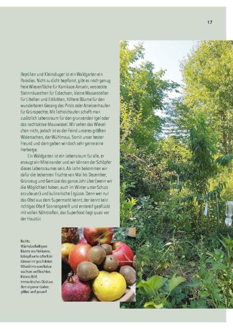 InsideView 4