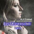 Cover-Bild zum Titel 'Das Sklavenschiff' von 'A. J. Triskel'