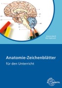 Cover-Bild zum Titel 'Anatomie Zeichenblätter' von 'Paul Gebhardt, Sylvana Bardl'