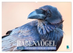 Cover-Bild zum Titel 'Rabenvögel: Schwarz, schlau, schön (Wandkalender 2026 DIN A2 quer), CALVENDO Monatskalender' von 'Calvendo Calvendo'
