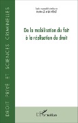 Cover-Bild zum Titel 'De la mobilisation du fait à la réalisation du droit' von 'Maxime Lei, Loïc Yboud'