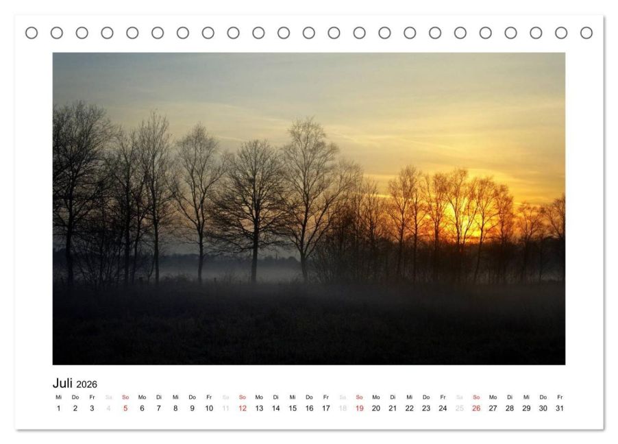 InsideView 12